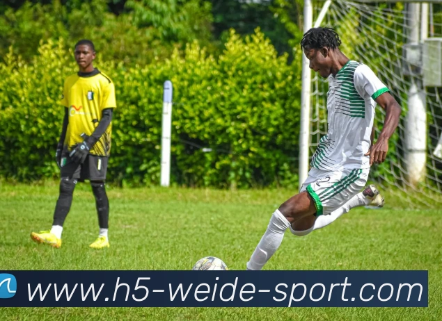 伟德体育平台生态图