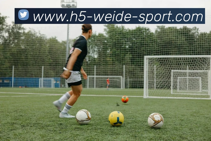 伟德体育APP 封面图